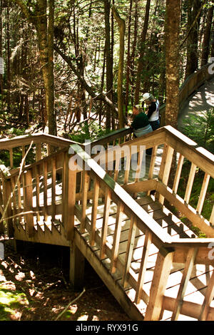 Canada, New Brunswick, Alma, Fundy National Park, punto Wolfe, escursioni, campeggio, ricreazione, passeggiate, sentieri, percorsi, percorso, Foto Stock