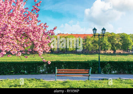 Rami di albero di sakura in fiore sopra il banco e la lanterna vicino alla passerella. primavera soleggiata mattinata. soffici nuvole del cielo. Ubicazione Uzhgoro Foto Stock