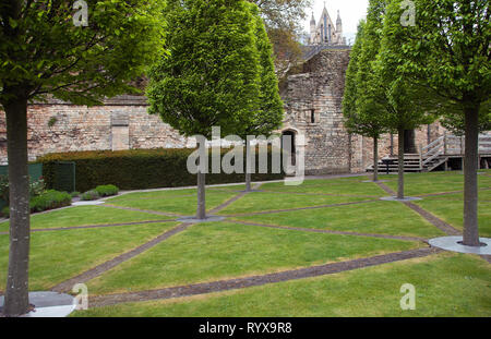 Medievale vescovile Palazzo Giardino contemporaneo di proprietà da English Heritage è in un ambiente storico affacciato sulla città di Lincoln con carpino fastigiate Foto Stock