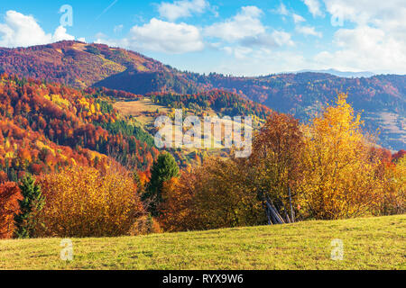 Campagna autunno in montagna. prati alpini e foreste colline. bellissimo paesaggio dei Carpazi nel pomeriggio. brillanti colori autunnali e b Foto Stock