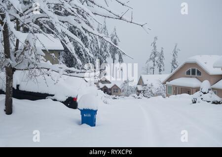 Un quartiere di Eugene, Oregon coperto di neve profonda dopo un freak tempesta di neve. Foto Stock