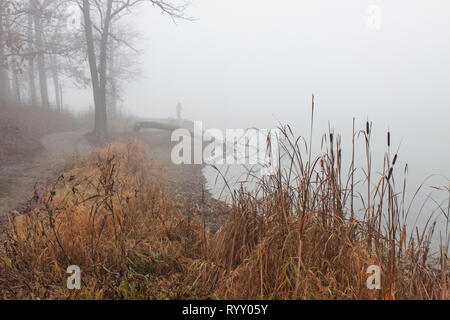 Sterile autunno alberi, morendo di graminacee e di fitta nebbia circondare a terre enda un pescatore getta nell'acqua torbida. Foto Stock