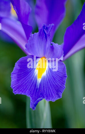 Arte al di fuori della natura! Foto Stock