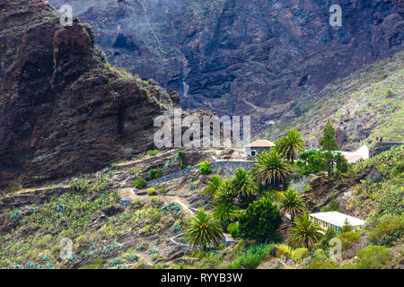 Villaggio Masca nella gola di montagna l'attrazione più visitata di Tenerife, Spagna. Foto Stock