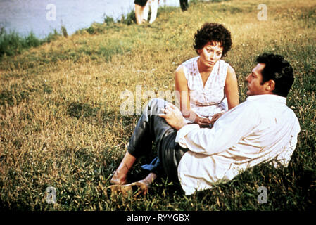 LOREN,MASTROIANNI, girasole, 1970 Foto Stock