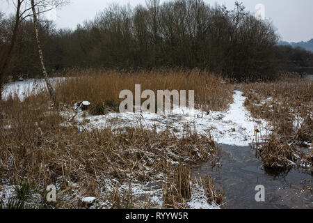 Vista su canneti e boschi da Nord Ivy nascondere, Blashford Laghi Riserva Naturale, Hampshire e dell' Isola di Wight Wildlife Trust Reserve, Ellingham, Foto Stock