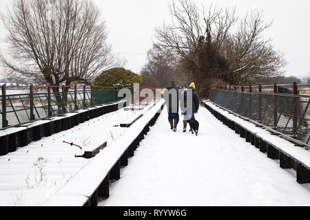 Dog walker e altre persone che camminano sulla coperta di neve Castleman Trailway in disuso la linea ferroviaria, Ringwood, Hampshire, Inghilterra, Regno Unito Foto Stock