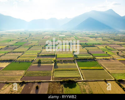 Abstract forme geometriche delle parcelle agricole di colture diverse in colori verde e giallo. Antenna vista dall'alto in basso di terreni coltivati nel Peloponneso, GRE Foto Stock