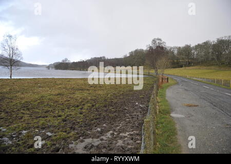 Il Trossachs, UK. Il 15 marzo 2019. Conseguenze della tempesta Hannah - Scene di Loch Achray nel Trossachs vicino alla città di Callander. I campi, le recinzioni e gli alberi o sotto l'acqua, o parzialmente sommerso. Il terreno fangoso è saturato con acqua. Il livello delle acque del lago è quasi fino a lato strada al piano terra inferiore. Il fiume che scorre fuori del loch ha anche il suo burst banche e invaso parte del territorio della città di Callander a poche miglia di distanza. Credito: Colin Fisher/Alamy Live News Foto Stock