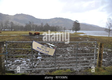 Il Trossachs, UK. Il 15 marzo 2019. Conseguenze della tempesta Hannah - Scene di Loch Achray nel Trossachs vicino alla città di Callander. I campi, le recinzioni e gli alberi o sotto l'acqua, o parzialmente sommerso. Il terreno fangoso è saturato con acqua. Il livello delle acque del lago è quasi fino a lato strada al piano terra inferiore. Il fiume che scorre fuori del loch ha anche il suo burst banche e invaso parte del territorio della città di Callander a poche miglia di distanza. Credito: Colin Fisher/Alamy Live News Foto Stock