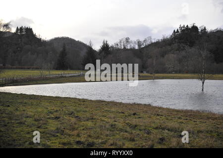 Il Trossachs, UK. Il 15 marzo 2019. Conseguenze della tempesta Hannah - Scene di Loch Achray nel Trossachs vicino alla città di Callander. I campi, le recinzioni e gli alberi o sotto l'acqua, o parzialmente sommerso. Il terreno fangoso è saturato con acqua. Il livello delle acque del lago è quasi fino a lato strada al piano terra inferiore. Il fiume che scorre fuori del loch ha anche il suo burst banche e invaso parte del territorio della città di Callander a poche miglia di distanza. Credito: Colin Fisher/Alamy Live News Foto Stock