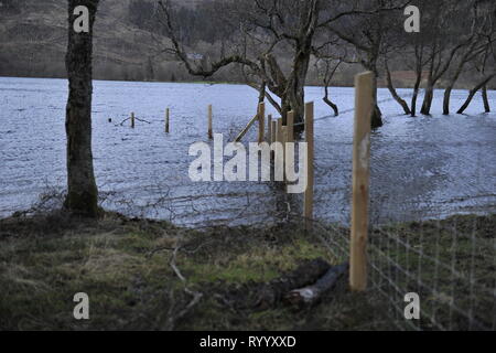 Il Trossachs, UK. Il 15 marzo 2019. Conseguenze della tempesta Hannah - Scene di Loch Achray nel Trossachs vicino alla città di Callander. I campi, le recinzioni e gli alberi o sotto l'acqua, o parzialmente sommerso. Il terreno fangoso è saturato con acqua. Il livello delle acque del lago è quasi fino a lato strada al piano terra inferiore. Il fiume che scorre fuori del loch ha anche il suo burst banche e invaso parte del territorio della città di Callander a poche miglia di distanza. Credito: Colin Fisher/Alamy Live News Foto Stock