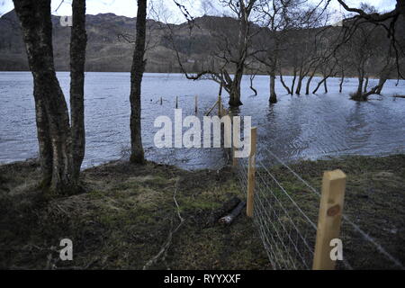 Il Trossachs, UK. Il 15 marzo 2019. Conseguenze della tempesta Hannah - Scene di Loch Achray nel Trossachs vicino alla città di Callander. I campi, le recinzioni e gli alberi o sotto l'acqua, o parzialmente sommerso. Il terreno fangoso è saturato con acqua. Il livello delle acque del lago è quasi fino a lato strada al piano terra inferiore. Il fiume che scorre fuori del loch ha anche il suo burst banche e invaso parte del territorio della città di Callander a poche miglia di distanza. Credito: Colin Fisher/Alamy Live News Foto Stock