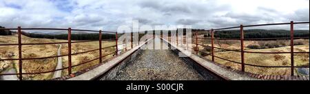 Sulla parte superiore della grande acqua del viadotto della flotta al bordo meridionale del Galloway Forest Park in Scozia. Costruito nel 1861 per i treni che circolano tra Dumfries and Stranraer. Chiuso nel 1965. Foto Stock