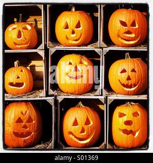 9 zucche scavate in Volti. Foto Stock