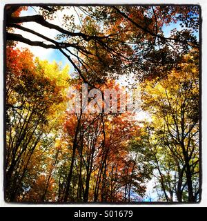 I colori dell'autunno nel Maine Foto Stock