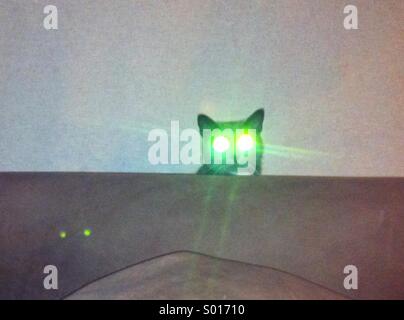 Un gatto con gli occhi laser dietro il divano. Foto Stock