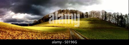 Panorama di prati e alberi, Gurten, Berna Foto Stock