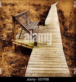 Un unico banco vuoto su una passerella oltre mare canne in Scandinavia Foto Stock