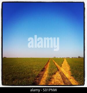 Le vie attraverso un campo verde in Willingale, Essex, con chiaro cielo blu sopra. Foto Stock