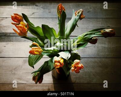Vaso di tulipani visto da sopra Foto Stock