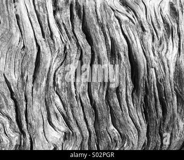 Una chiusura del legno stagionato Foto Stock