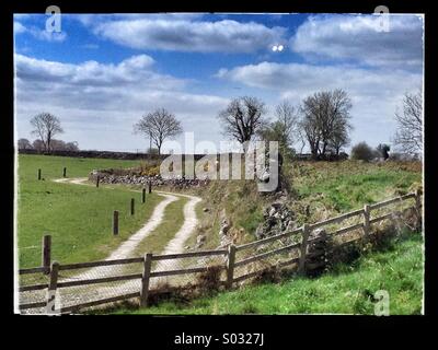 Colpo da strada mentre viaggia tra Dublino e Galway in Irlanda Foto Stock