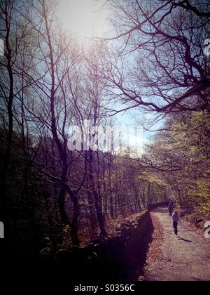 Passeggiate in Anglezarke country park Foto Stock