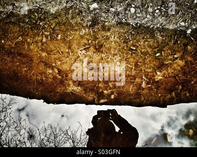 La riflessione di acqua Foto Stock