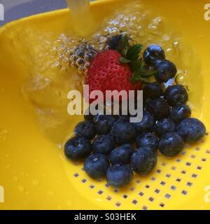 I mirtilli e fragola essendo lavato in uno scolapasta. Foto Stock