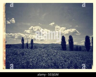 Paesaggio con le nuvole in campagna a Bevagna in Umbria, Italia Foto Stock