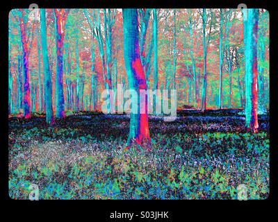 Vista psichedelica di una scena di Bosco contenente alberi e fiori. Un diverso punto di vista di una foresta in primavera. Foto Stock