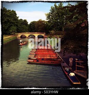 Punting nella primavera sul fiume Cam, Cambridge Regno Unito Foto Stock