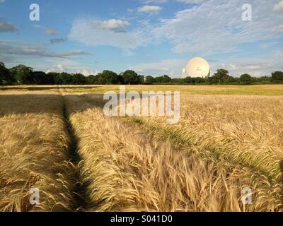 Jodrell Bank Foto Stock