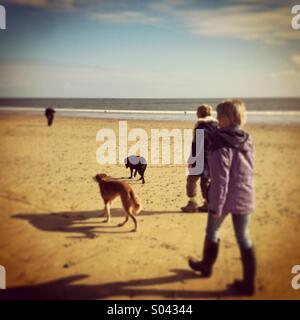 Due donne a piedi i loro cani sulla spiaggia di sole primaverile. Stile Instagram iPhone cellulare foto. Foto Stock