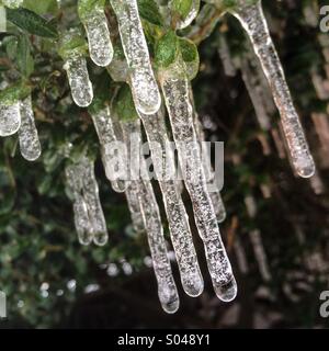 Ghiaccioli pendono dalla parte inferiore delle boccole durante un Atlanta, Georgia tempesta di ghiaccio. Foto Stock