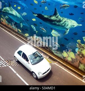 Un bianco auto drive in una autostrada decorata con un murale fotografia decorate con i delfini nuotare sulla profondità dell'oceano nel Chapultepec Avenue, Colonia Roma, Città del Messico, Messico Foto Stock