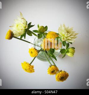 Bouquet di fiori di primavera Foto Stock