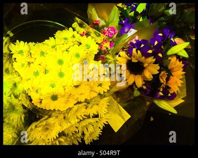 Display di fiori girasoli iridi e crisantemi Foto Stock