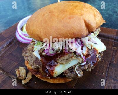 Barbecue di formaggio cheddar bianco burger con estratto di carne di maiale, cavolo, slaw & croccanti di patate Foto Stock