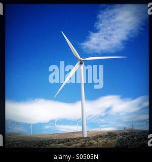 Energia pulita turbine eoliche presso il Wild Horse Wind Farm vicino Ellensburg, Washington Foto Stock