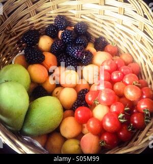 Un assortimento di raccolti di fresco frutta dal giardino in un cesto di vimini. More gigante, mini le albicocche, i pomodori ciliegia, pere. Foto Stock