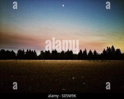 Half moon oltre il campo di grano al tramonto Foto Stock