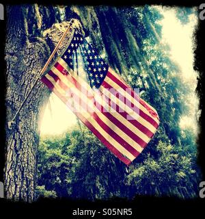 Strappati bandiera americana appeso a un albero. Foto Stock
