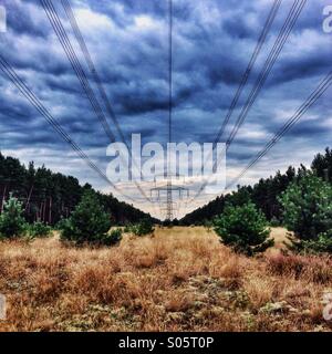 Le linee di alimentazione che corre attraverso una foresta Foto Stock