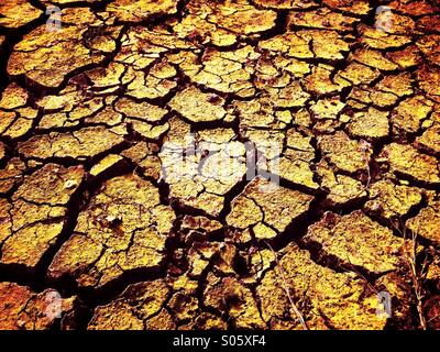 Rotto il fango essiccato Foto Stock