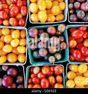 Assortimento di coloratissimi farm pomodori freschi Foto Stock