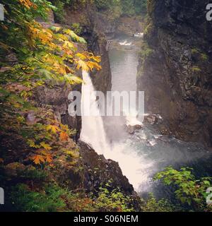 Elk Falls, Elk Falls Provincial Park, Campbell River, Isola di Vancouver, Canada Foto Stock