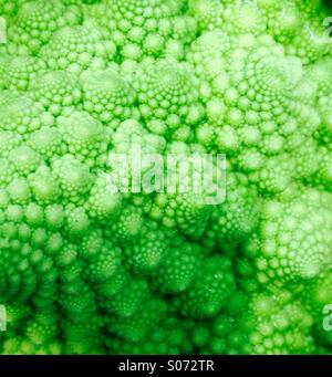 Close up di un verde cavolfiore Romanesco Foto Stock