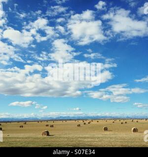 Caduta soleggiata giornata in Alberta praterie con fieno o balle di paglia in un campo con Montagne Rocciose in lontananza. Foto Stock